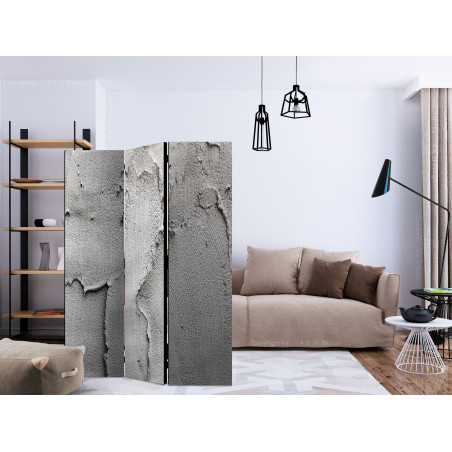 Paravan Concrete Nothingness [Room Dividers] 135 cm x 172 cm-01