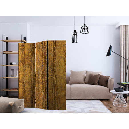 Paravan Golden Chamber [Room Dividers] 135 cm x 172 cm-01