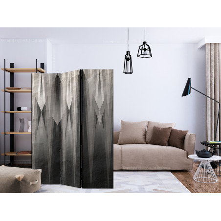 Paravan Grey Citadel [Room Dividers] 135 cm x 172 cm-01