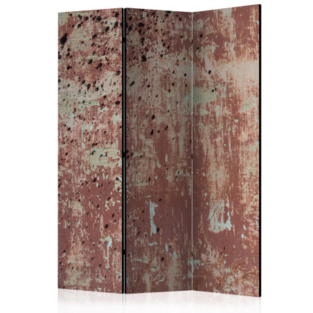 Paravan Street Rain [Room Dividers] 135 cm x 172 cm-01