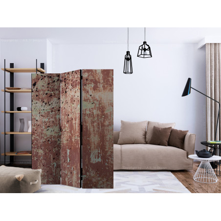 Paravan Street Rain [Room Dividers] 135 cm x 172 cm-01