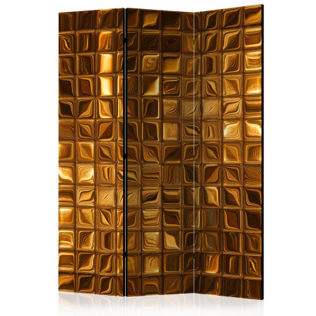 Paravan Riddle Of The Majesty [Room Dividers] 135 cm x 172 cm-01