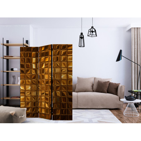 Paravan Riddle Of The Majesty [Room Dividers] 135 cm x 172 cm-01