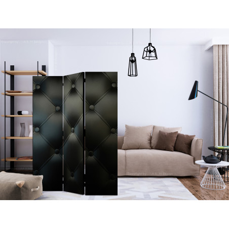 Paravan Distinguished Elegance [Room Dividers] 135 cm x 172 cm-01