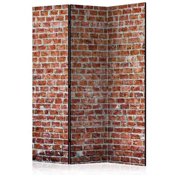 Paravan Red Rock [Room Dividers] 135...