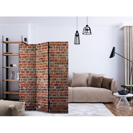 Paravan Red Rock [Room Dividers] 135 cm x 172 cm-01