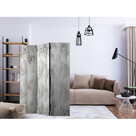 Paravan Sense Of Style [Room Dividers] 135 cm x 172 cm-01