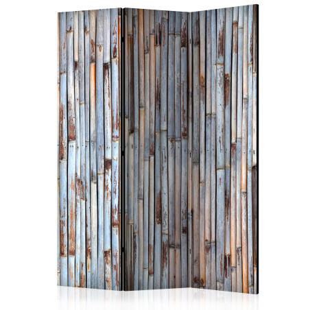 Paravan Asian History [Room Dividers] 135 cm x 172 cm-01