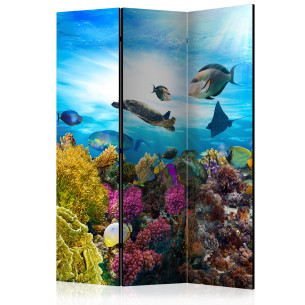 Paravan Coral Reef [Room...