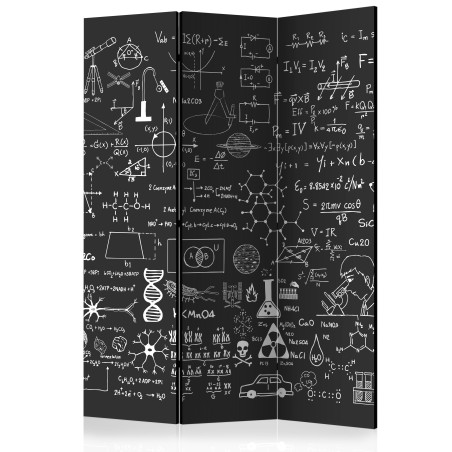 Paravan Science On Chalkboard [Room Dividers] 135 cm x 172 cm-01