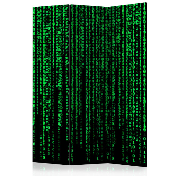 Paravan Digital Rain [Room Dividers]...