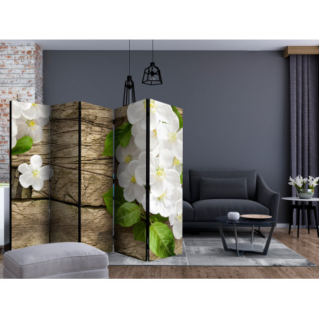 Paravan Raw Beauty Ii [Room Dividers] 225 cm x 172 cm-01