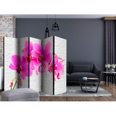 Paravan Pink Excitation Ii [Room Dividers] 225 cm x 172 cm-01