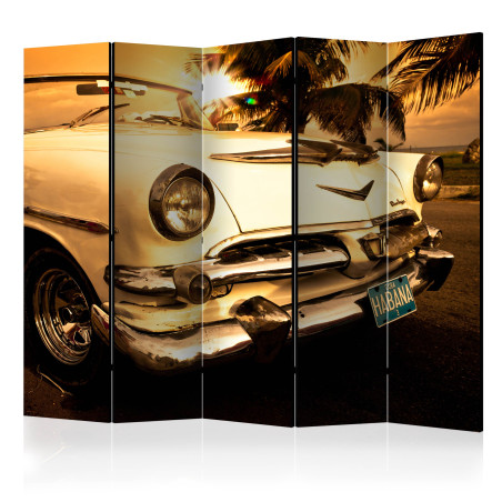 Paravan Viva Havana! Ii [Room Dividers] 225 cm x 172 cm-01