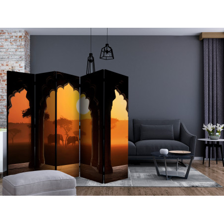 Paravan Hear Africa Ii [Room Dividers] 225 cm x 172 cm-01