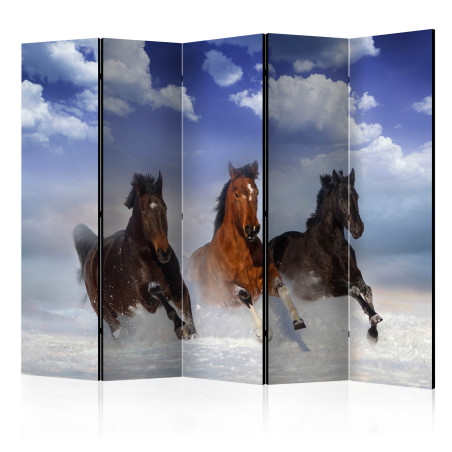 Paravan Horses In The Snow Ii [Room Dividers] 225 cm x 172 cm-01