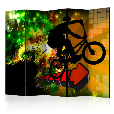 Paravan Bicycle Tricks Ii [Room Dividers] 225 cm x 172 cm-01