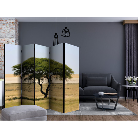 Paravan Etosha National Park, Namibia Ii [Room Dividers] 225 cm x 172 cm-01