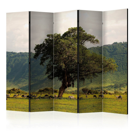 Paravan In A Crater Of Ngoro Ngoro Ii [Room Dividers] 225 cm x 172 cm-01