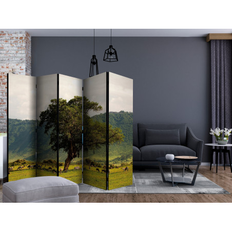 Paravan In A Crater Of Ngoro Ngoro Ii [Room Dividers] 225 cm x 172 cm-01