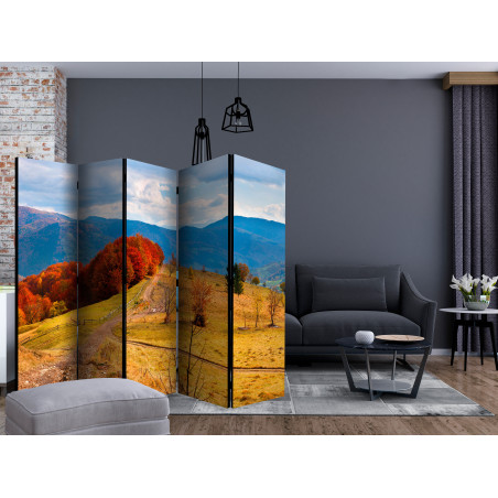 Paravan Autumn Landscape In The Carpathian Mountains Ii [Room Dividers] 225 cm x 172 cm-01