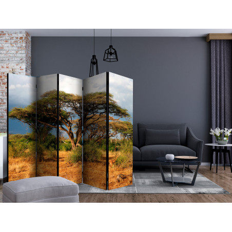 Paravan Samburu National Reserve, Kenya Ii [Room Dividers] 225 cm x 172 cm-01