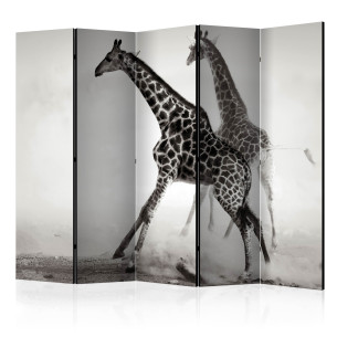 Paravan Giraffes Ii [Room...