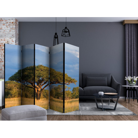 Paravan African Acacia Tree, Hwange National Park, Zimbabwe Ii [Room Dividers] 225 cm x 172 cm-01