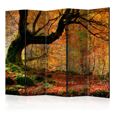 Paravan Autumn, Forest And Leaves Ii [Room Dividers] 225 cm x 172 cm-01