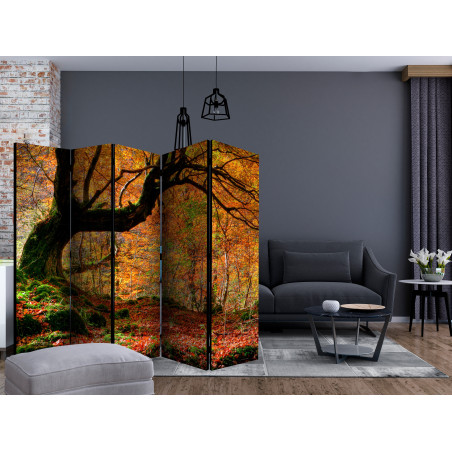 Paravan Autumn, Forest And Leaves Ii [Room Dividers] 225 cm x 172 cm-01