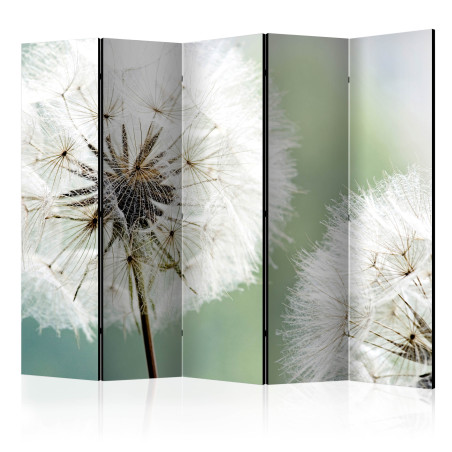 Paravan Two Dandelions Ii [Room Dividers] 225 cm x 172 cm-01