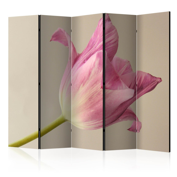 Paravan Pink Tulip Ii [Room Dividers]...