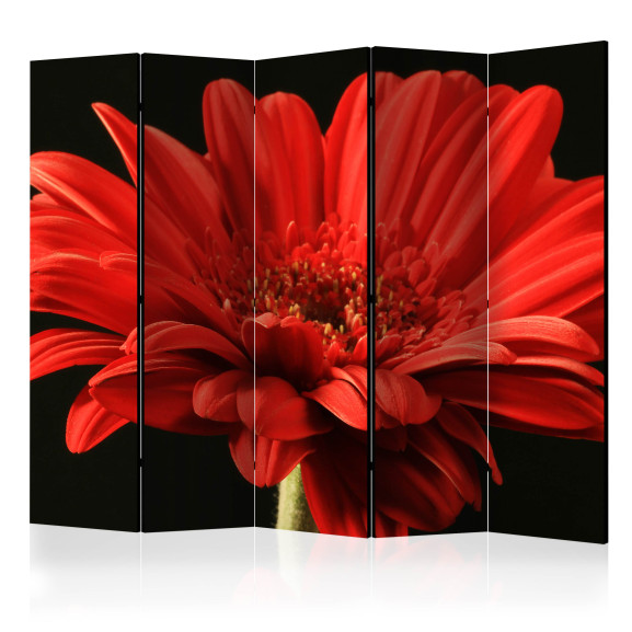 Paravan Red Gerbera Flower Ii [Room...