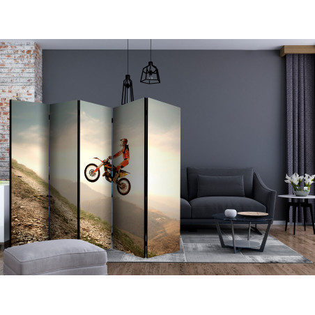 Paravan Motor Sport Ii [Room Dividers] 225 cm x 172 cm-01