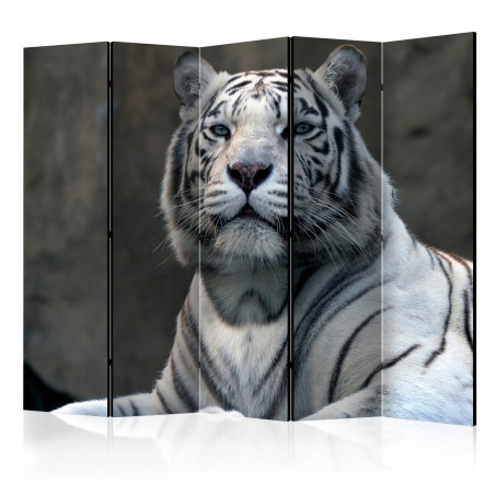 Paravan Bengali Tiger In Zoo Ii [Room Dividers] 225 cm x 172 cm-01