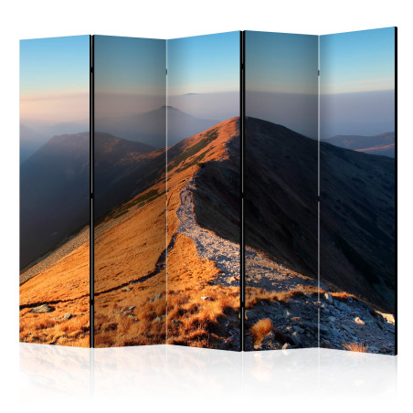 Paravan Mountain Footpath, Tatras Ii [Room Dividers] 225 cm x 172 cm-01