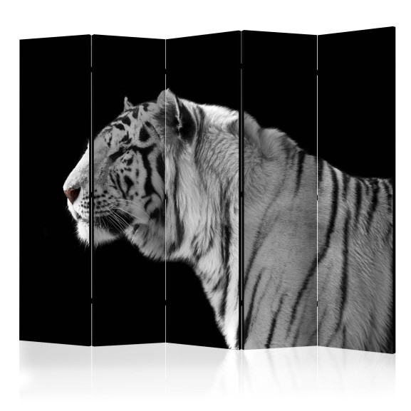 Paravan White Tiger Ii [Room...