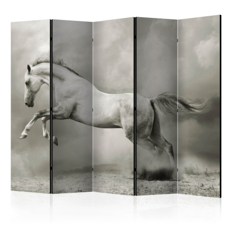 Paravan Wild Stallion Ii [Room Dividers] 225 cm x 172 cm-01