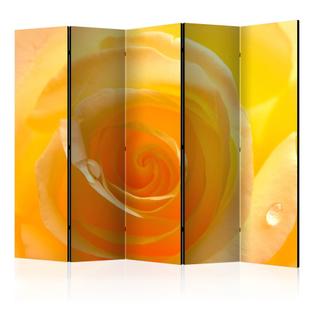 Paravan Yellow Rose Ii [Room Dividers] 225 cm x 172 cm-01