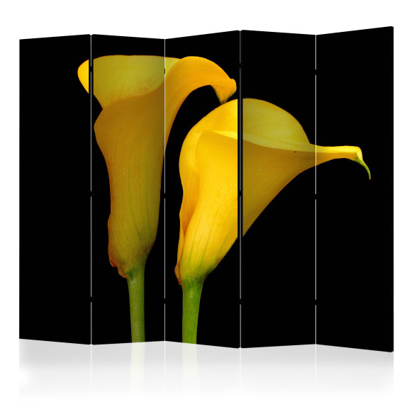 Paravan Two Yellow Calla Flowers On A...