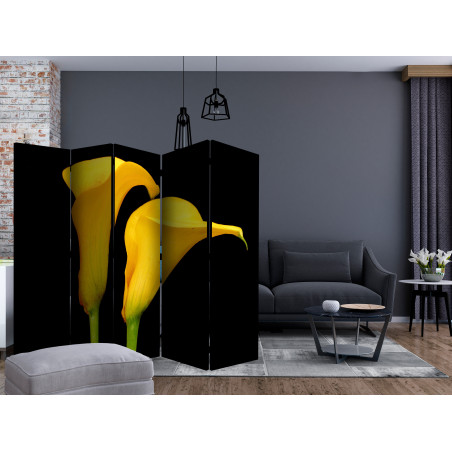 Paravan Two Yellow Calla Flowers On A Black Background Ii [Room Dividers] 225 cm x 172 cm-01