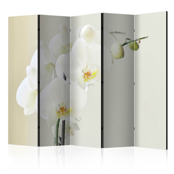 Paravan White Orchid Ii [Room...