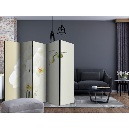 Paravan White Orchid Ii [Room Dividers] 225 cm x 172 cm-01