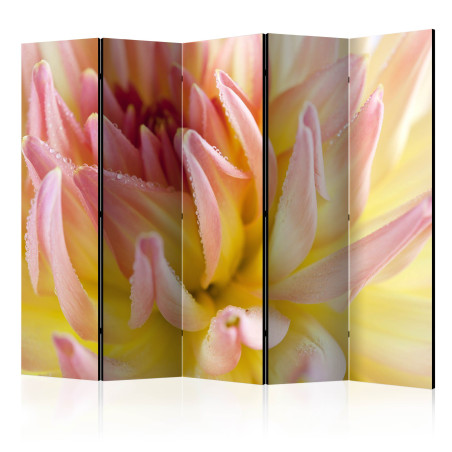 Paravan Pastel Colored Dahlia Flower With Dew Drops Ii [Room Dividers] 225 cm x 172 cm-01