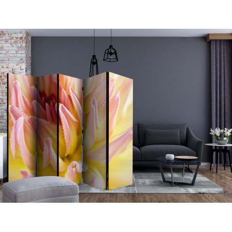 Paravan Pastel Colored Dahlia Flower With Dew Drops Ii [Room Dividers] 225 cm x 172 cm-01