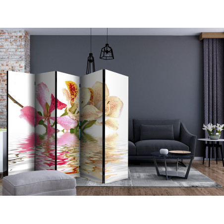 Paravan Tropical Flowers Orchid Tree (Bauhinia) Ii [Room Dividers] 225 cm x 172 cm-01