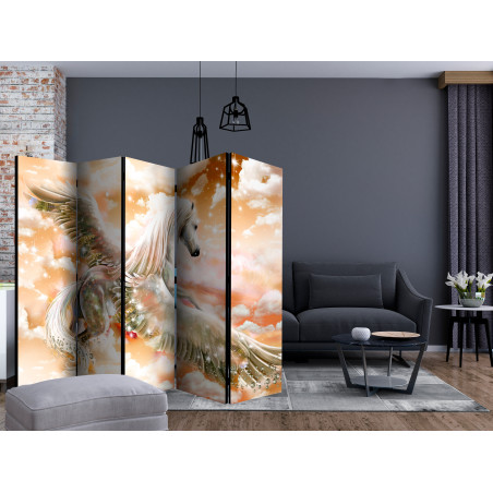 Paravan Pegasus (Orange) Ii [Room Dividers] 225 cm x 172 cm-01