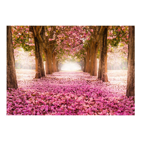 Fototapet Pink Grove-01