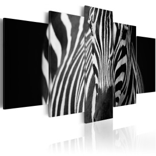 Tablou Zebra Look