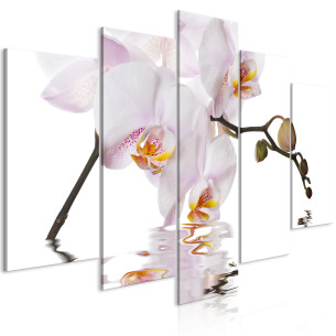 Tablou Delightful Orchid (5...